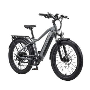 Electric Transportation